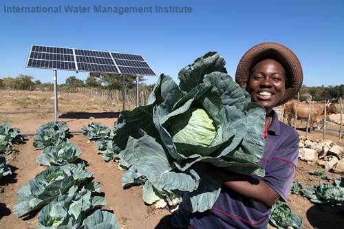 Of the many irrigation technologies the Innovation Laboratory for Small-Scale Irrigation is researching,  solar power pumping has been shown to have great potential at the farm level.